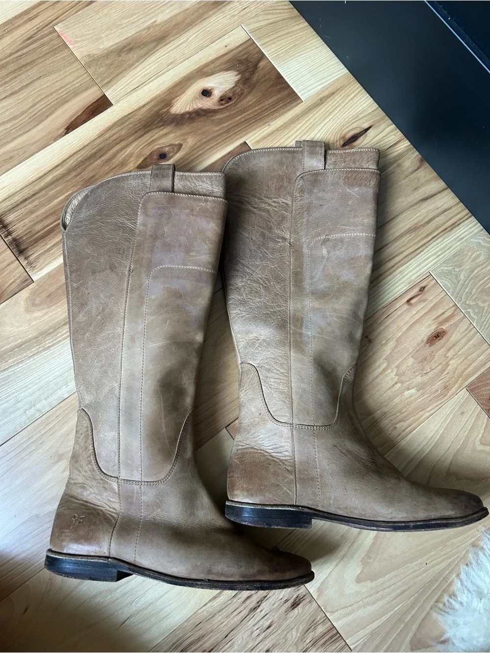 Frye classic tall
